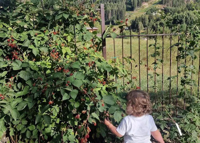 Le Ciaf 3* Temù